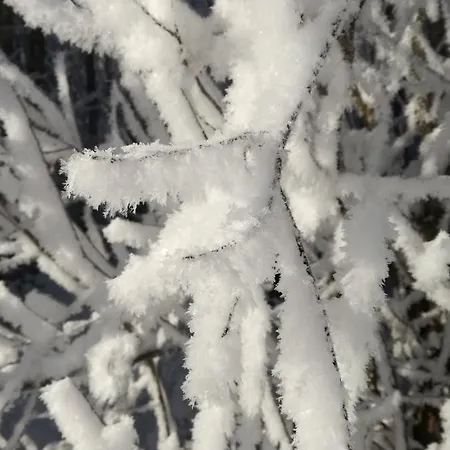 Ruf Melitta Au (Vorarlberg)